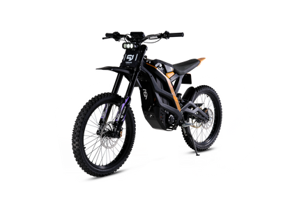 79Bike Falcon Pro L1e