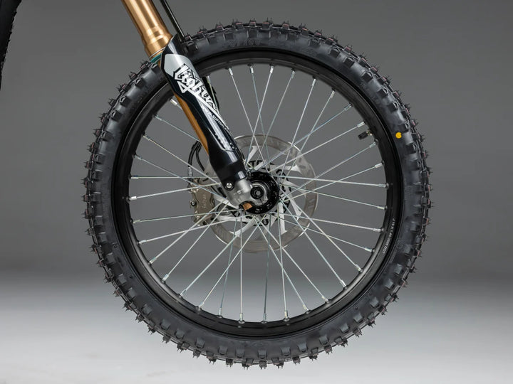 SURRON  Light Bee 2