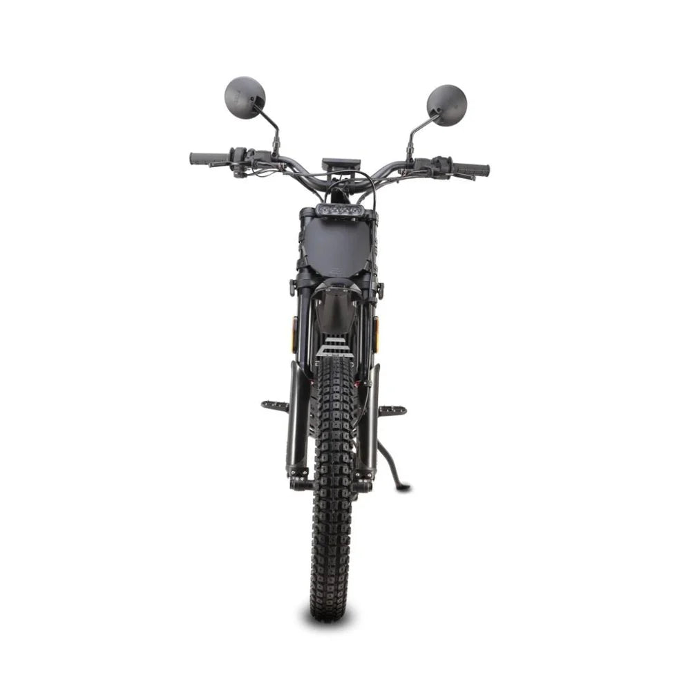 E Ride Pro SE (L1e)