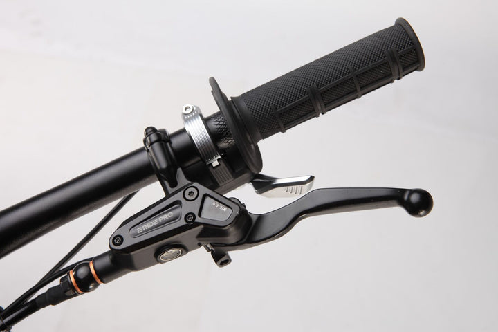 E RIDE PRO SS 3.0 (L1e)